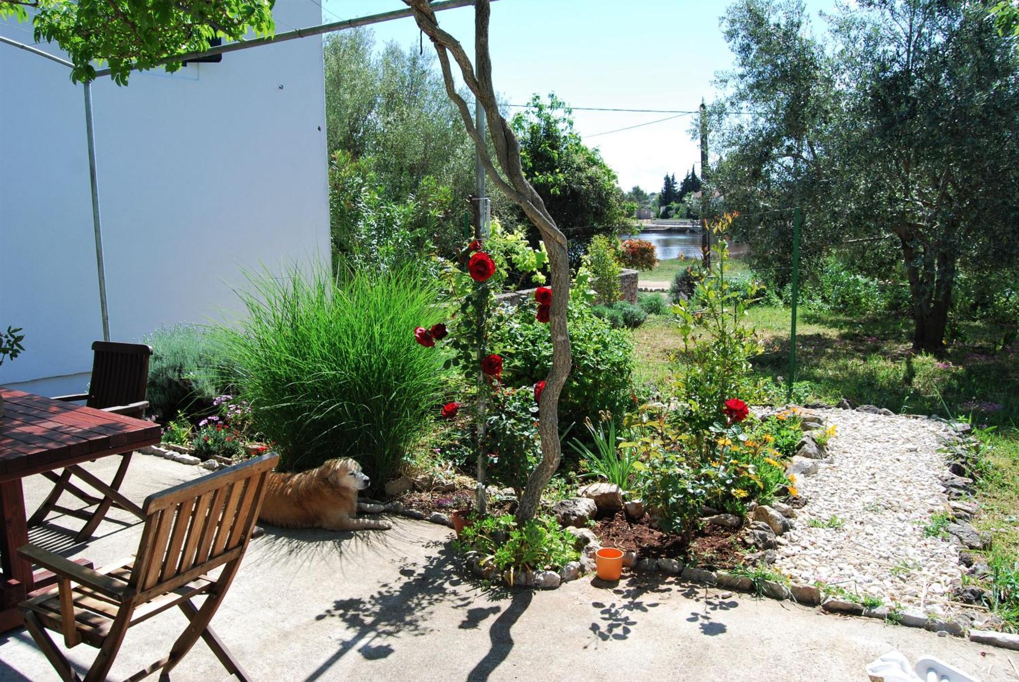 Rustic Holiday Home Miketa Lukoran 外观 照片